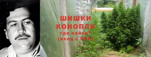 МДПВ Богородицк